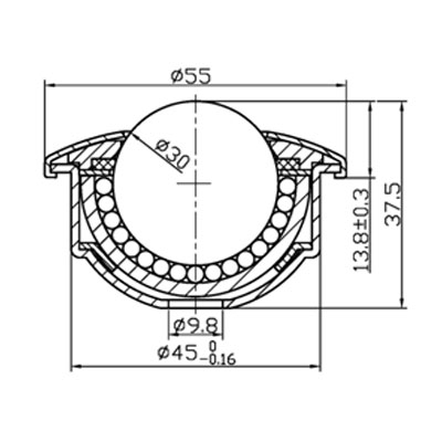 ball_transfer_units_006s